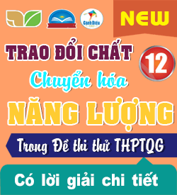 Trao đổi chất....năng lượng ở Động vật (VD_VDC)